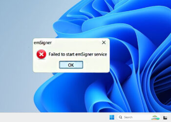 How to Fix MCA emSigner Error "Failed to start emSigner Service"